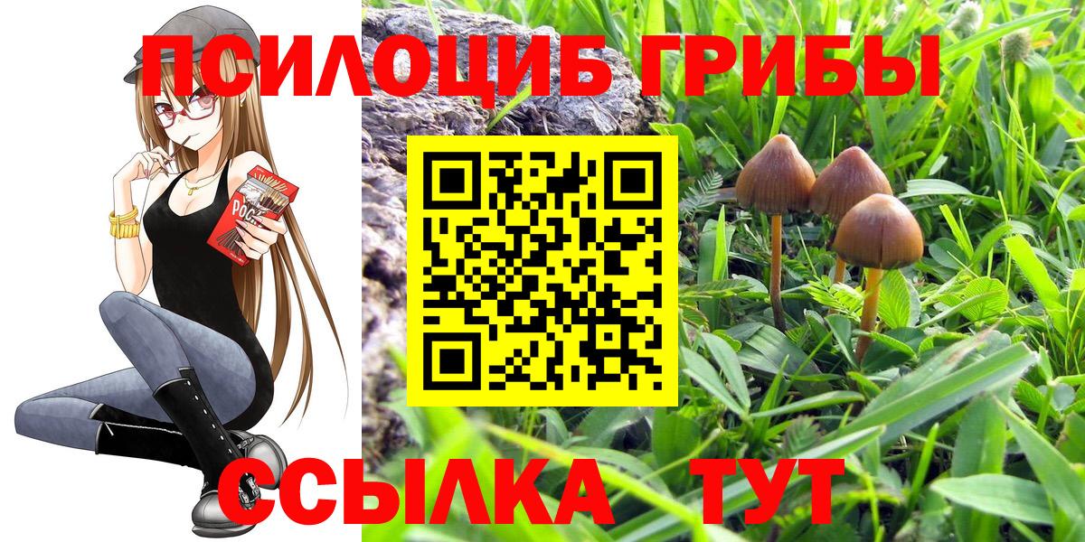 Галлюциногенные грибы ЛСД Черемхово